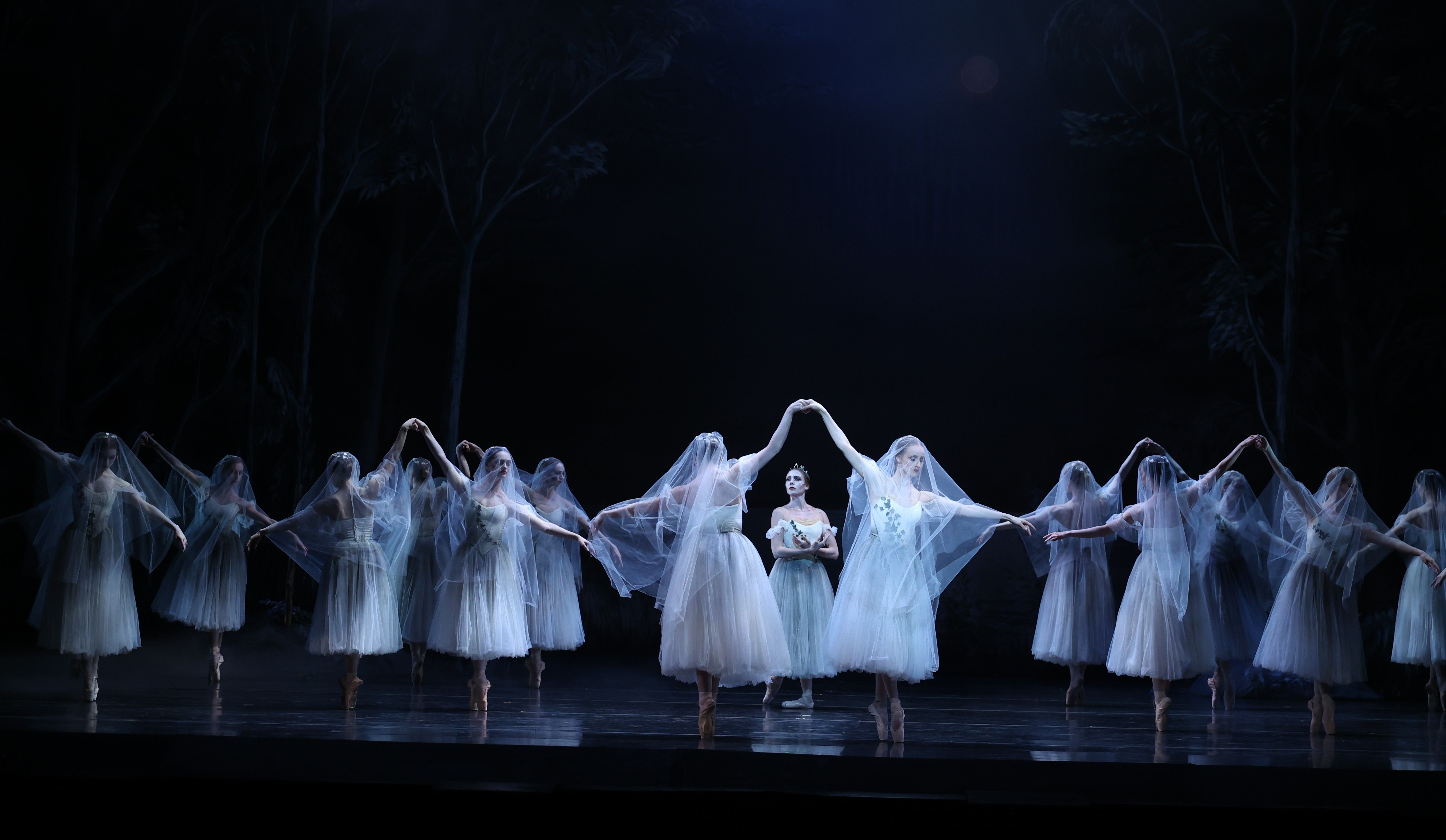 PhotoShelter Customer Story: How Texas Ballet Theater Mastered its Expanding Archive